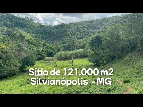 Sítio de 121.000 m² Com Água e Platô para Café e Abacate à Venda em Silvianópolis no Sul de Minas.