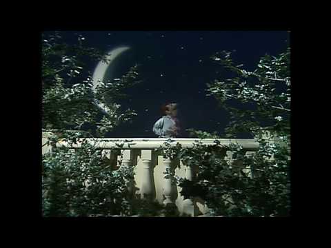 Muppet Songs: Wayne - Catch a Falling Star