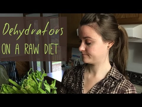 download lagu mp3 mp4 Raw Food Diet Dehydrator, download lagu Raw Food Diet Dehydrator gratis, unduh video klip Raw Food Diet Dehydrator