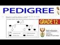 PEDIGREE CROSS GENETICS LIFE SCIENCES GRADE 12 THUNDEREDUC M SAIDI