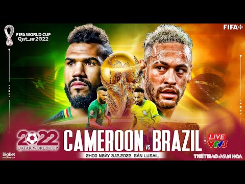Aff Cup là gì, lịch sử các giải đấu AFF Cup ra sao?