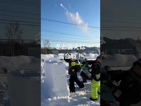 キョウチクトウを霜から守る方法は？冬を乗り切るための 4 つの簡単なアクション  庭園