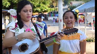 Trío Los Pixcuhuiles y Son Melo huapangueando en Tepetzintla, Ver.