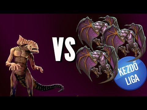 Kezdő Liga - Pörgős verseny (2015. október 9.)