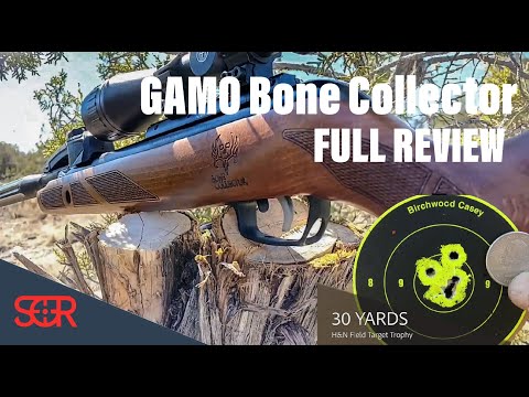 Gamo Bone Collector Swarm .22 CAL - AIRGUN REVIEW and TIP on BEST ACCURACY