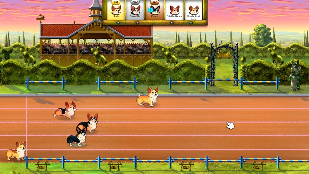 Corgi Race