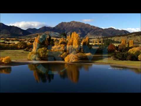 Mos u hidhëro - Hidhërimi humb shumë shance - 23