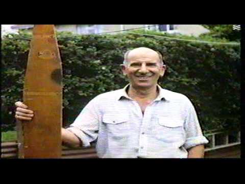 Reporter Hit by Low-Flying Light Aircraft