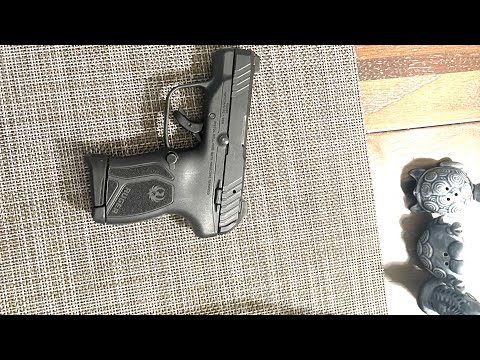 Update on Ruger lcp max 380 part 2