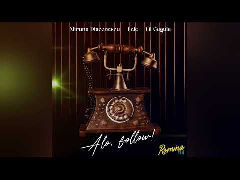 Alo, Follow! (MonsterStyleDj Remix) - Miruna Diaconescu, Lele & Lil Cagulă