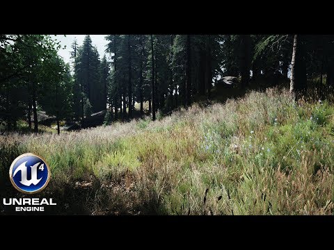 Unreal Engine 4 - The Forest / Photorealistic Wild Meadow