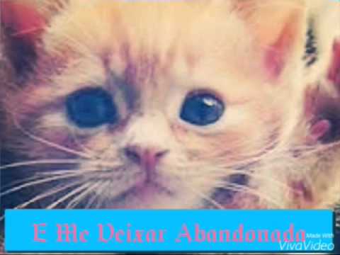 Vai Virar Rotina (Letra) Biollo