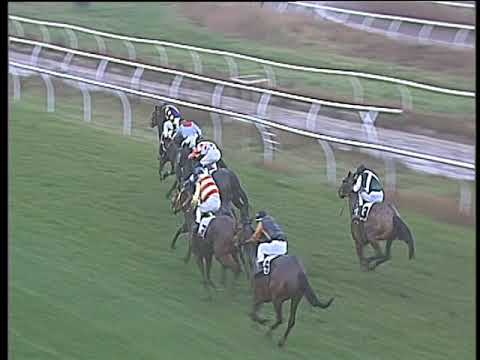 Galoppo 06/02/2018 - 2ª corsa