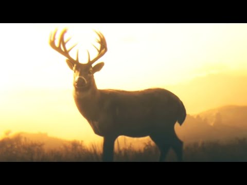 RED DEAD REDEMPTION 2 WALKTHROUGH GAMEPLAY PART 40- ENDING- REDEMPTION