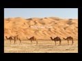 Saudi Arabia 1 
