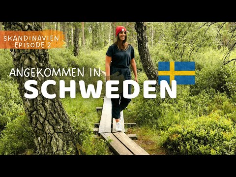 SÜDSCHWEDEN 🇸🇪 das größte Moor im Store Mosse Nationalpark | Camping Roadtrip VLOG #88