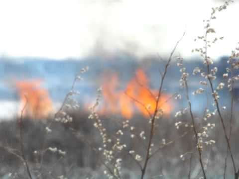 A brush fire in the Buck Pond area in Greece 4122011 025.MOV