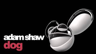 adam shaw - dog