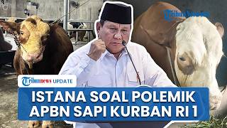 Kata Istana & MUI soal Polemik 1.098 Sapi Kurban Presiden Prabowo Pakai APBN Senilai Rp100 Miliar