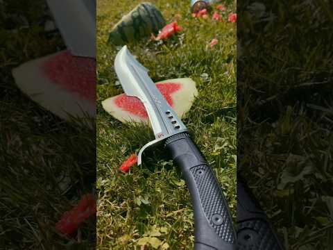 Honshu Spartan Sword D2