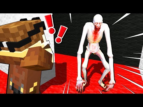I MIEI AMICI SI NASCONDONO DALLO SHY GUY!! *GMOD SCP*