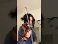 Megolovania Undertale ️