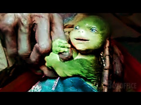 The Story of the Baby Ninja Turtles | Teenage Mutant Ninja Turtles | CLIP
