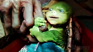 Download lagu The Story of the Baby Ninja Turtles | Teenage Mutant Ninja Turtles | CLIP mp3