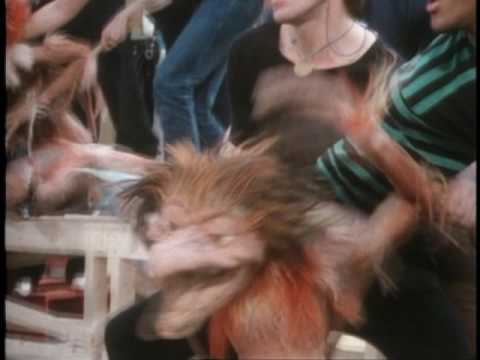 Behind the Scenes: Fireys