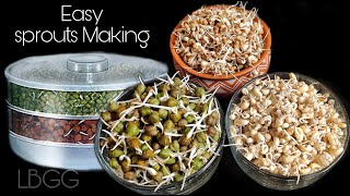 How To Make Sprouts at Home | sprout maker Demo | Reviews and How to use sprouts maker