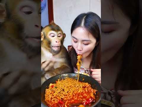 Let’s eat spicy noodles! OMAMA is so fragrant  The food on the tip of the tongue  Monkey Brother i