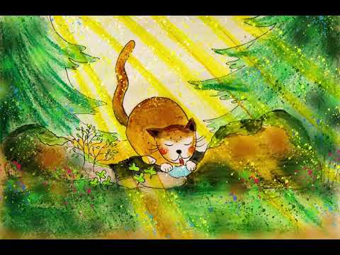 Tilkku-kissan seikkailut osa 1