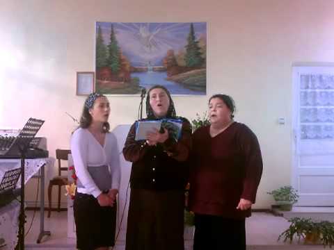 Natanaiel Bogdan - Grupul de frati / surori Biserica Rapa 5