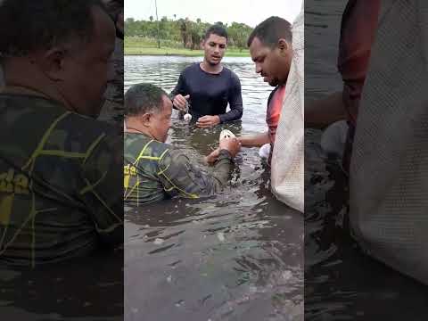 Grupo de pesca rede rasgada Agricolandia Piauí
