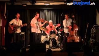 Planxty Irwin - Cooley's Reel - Rakish Paddy