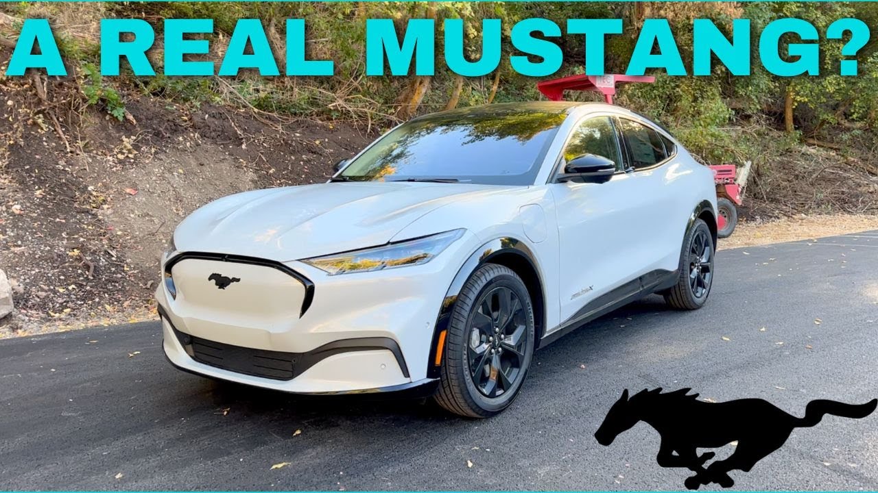 The Ford Mustang Mach-E Is A Surprisingly Great EV Daily ...