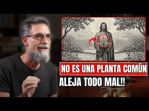 La Planta Que Jesús Bendijo Para Protección || Javier Wolcoff