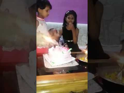 Noshi happy Birthday