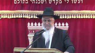 034רוממות התפילה ברכו וברכת יוצר אור (הרב יורם סרי) - התמונה מוצגת ישירות מתוך אתר האינטרנט יוטיוב. זכויות היוצרים בתמונה שייכות ליוצרה. קישור קרדיט למקור התוכן נמצא בתוך דף הסרטון