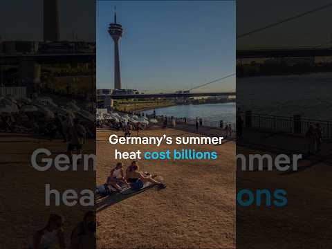 Germany's hot summer cost the country billions | DW News