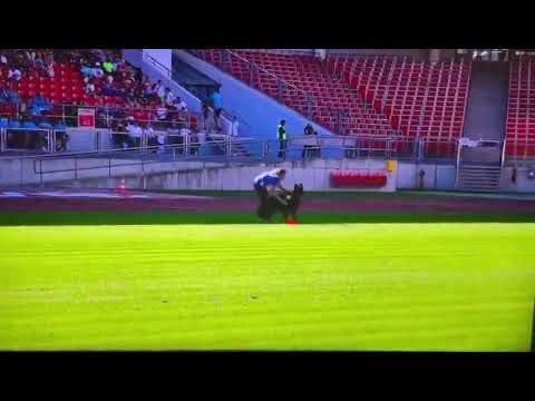 Bite Work Worldchampion VA 1 Mongrif Legacy bszs 2023