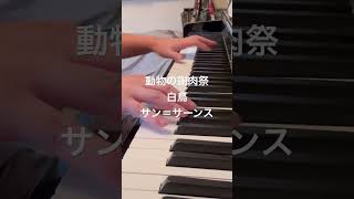 Download lagu 動物の謝肉祭：白鳥 #サン=サーンス #piano #50おやじのピアノ #shorts mp3