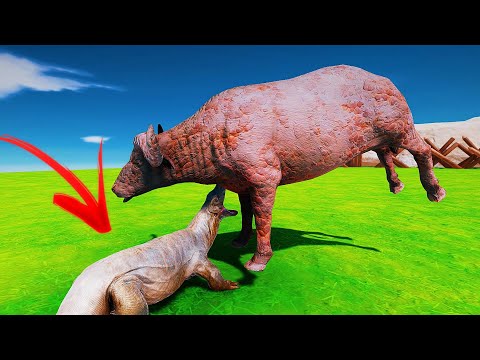 ✅  Komodo Dragon hunting Cape buffalo - Animal Revolt Battle Simulator