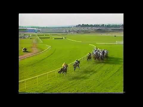 1992.03.10, GB (Smurit Champion Hurdle Challenge (4+ Vallas, G1) 1º Royal Gait, 2º Oh so Risky