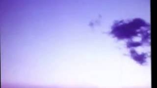 Suzukiski  - Reengineering (1994)