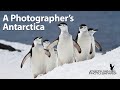 A Photographer S Antarctica A 10 Day Photography Trip To Antarctica During Prime January Dates