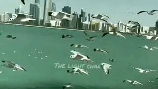 Download lagu Seberapa Pantas - Sheila On7 (Cover by Alzera, Lyrics Video) mp3