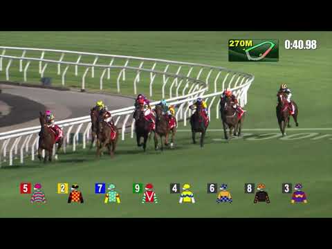 14/9/2022 (13) Valiant Elegance - L Hewitson