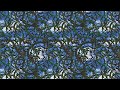 Stickerbush Symphony by David Wise