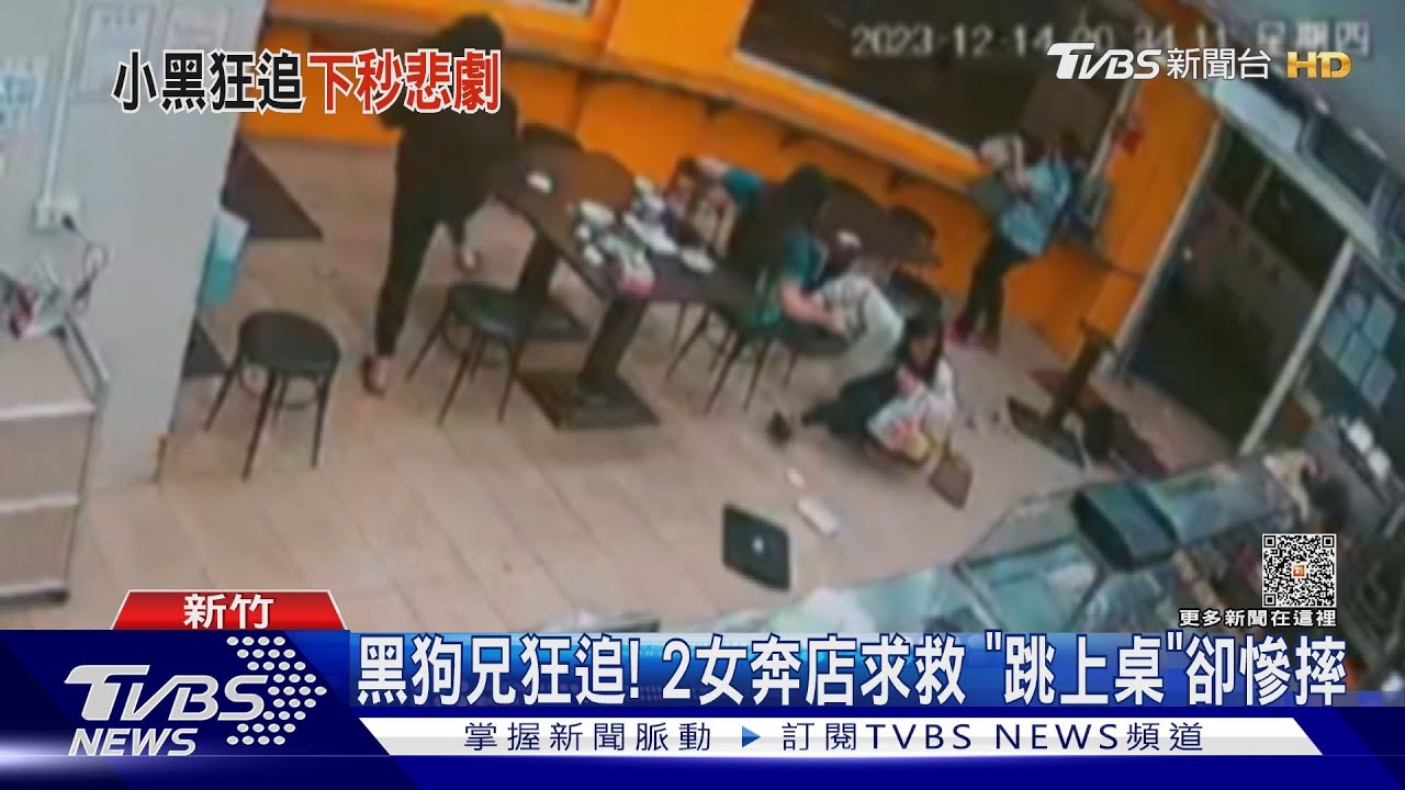 黑狗兄狂追!2女奔店求救 「跳上桌」卻慘摔